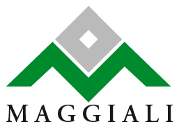 Officine Maggiali s.r.l. – Centro Assistenza Motori Marini e Industriali